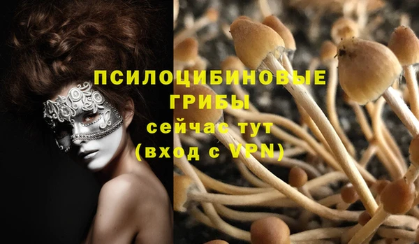 скорость Новозыбков