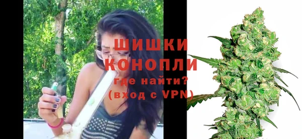 соль ск Вяземский